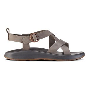 Chacos Wayfarer Men's Sandals Grey | 1890475-US