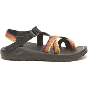 Chacos Z/2 Classic Men's Sandals Grey / Multi | 6940215-US