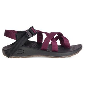 Chacos Z/2 Classic Women's Sandals Purple / Black | 2169405-US