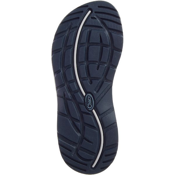 Chacos ZX/2 Classic Women's Sandals Grey / Navy | 9608157-US