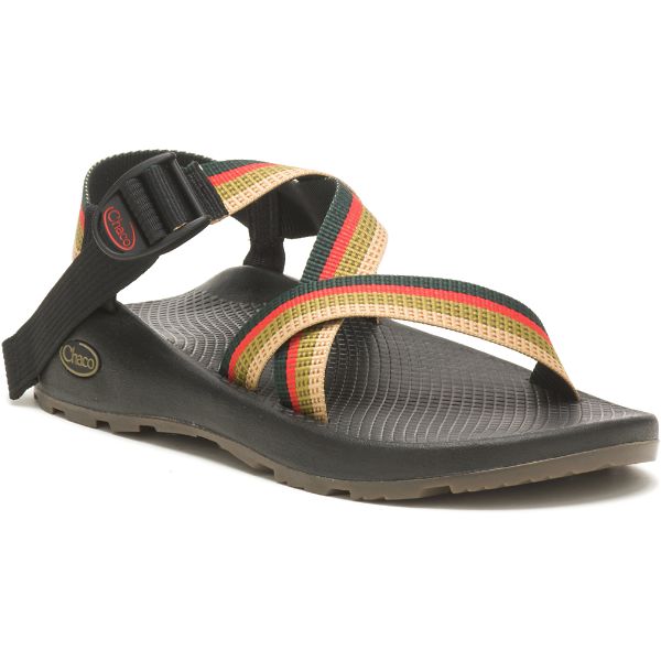 Chacos Z/1 Classic Men's Z/Sandals Grey / Multi | 6152073-US