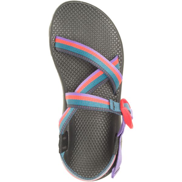 Chacos Z/1 Classic Women's Sandals Grey / Multi | 4102859-US