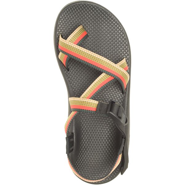Chacos Z/2 Classic Men's Sandals Grey / Multi | 6940215-US