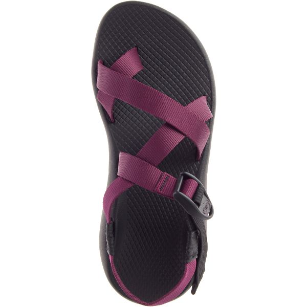 Chacos Z/2 Classic Women's Sandals Purple / Black | 2169405-US