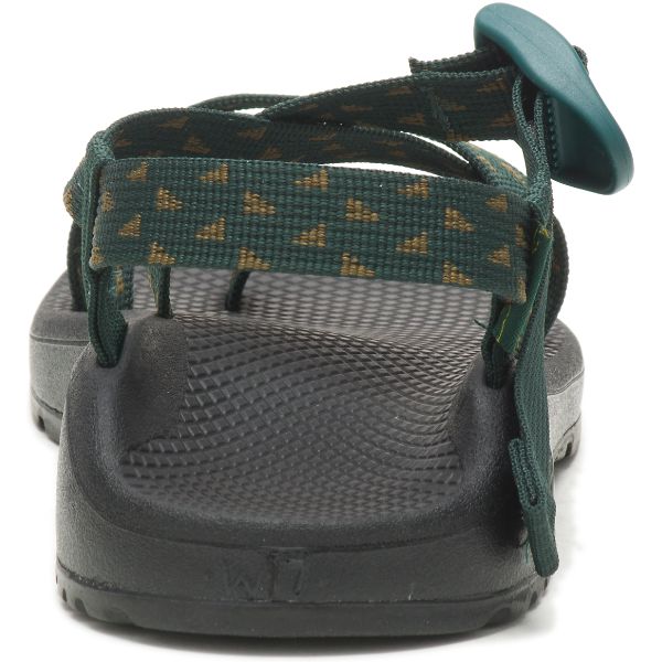 Chacos Z/Cloud 2 Women's Sandals Green / Grey | 9542031-US