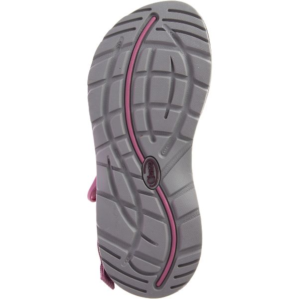 Chacos Z/Cloud 2 Women's Sandals Pink / Grey | 1684795-US