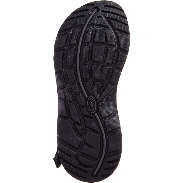Chacos Z/Cloud Women's Z/Sandals Black | 1842976-US